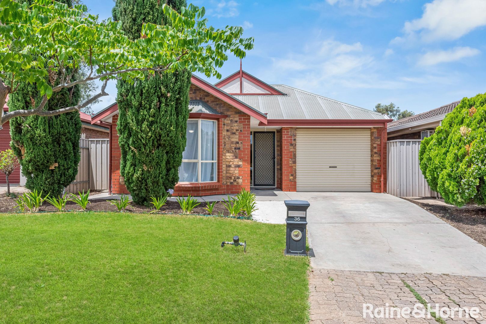 36 Lynton Avenue, Gilles Plains SA 5086, Image 1