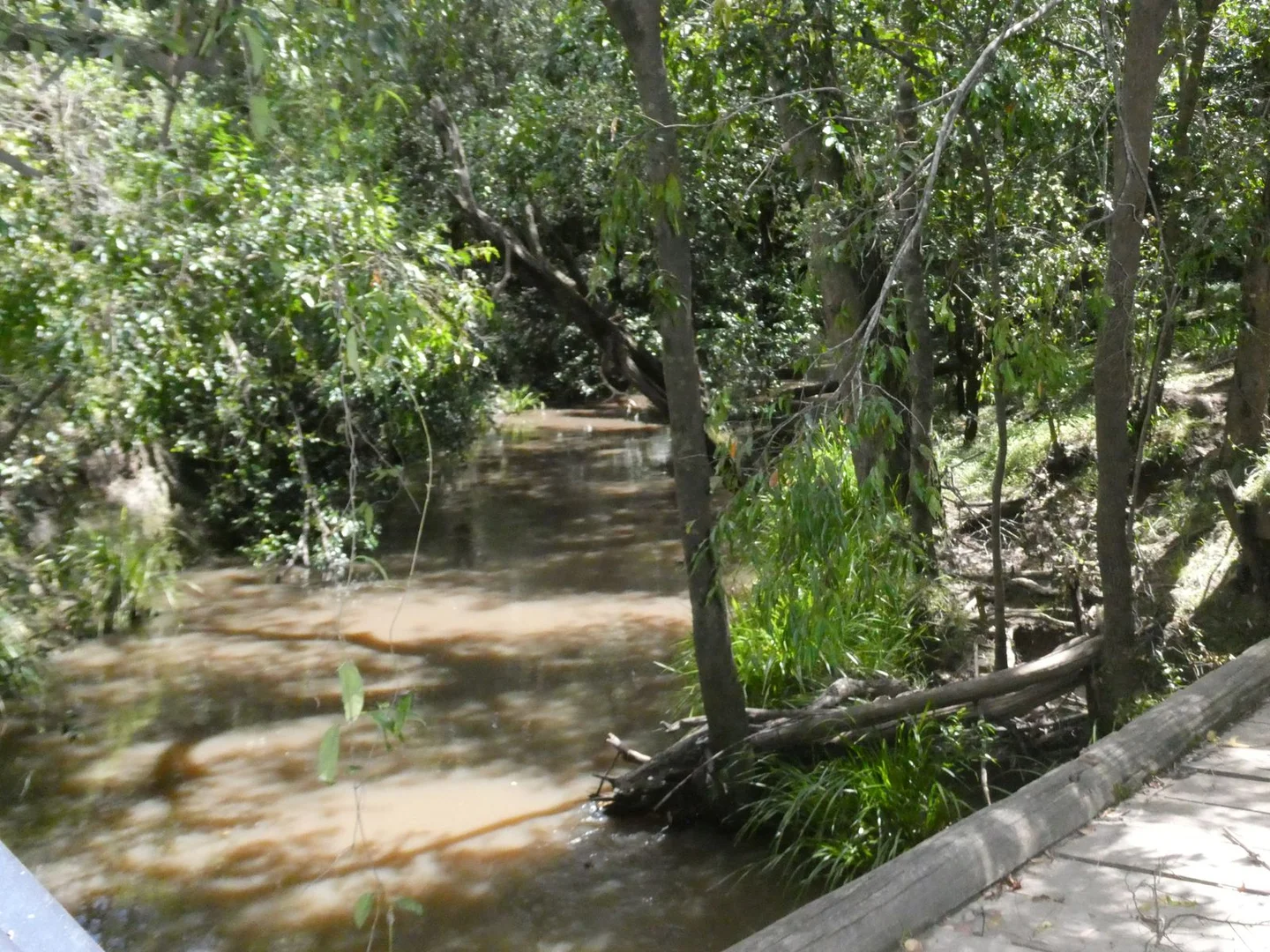 Additional image 26 of 510 Promisedland Road, Promisedland QLD 4660