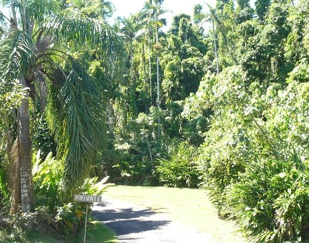 Lot 5 Bingil Bay Road, Bingil Bay QLD 4852