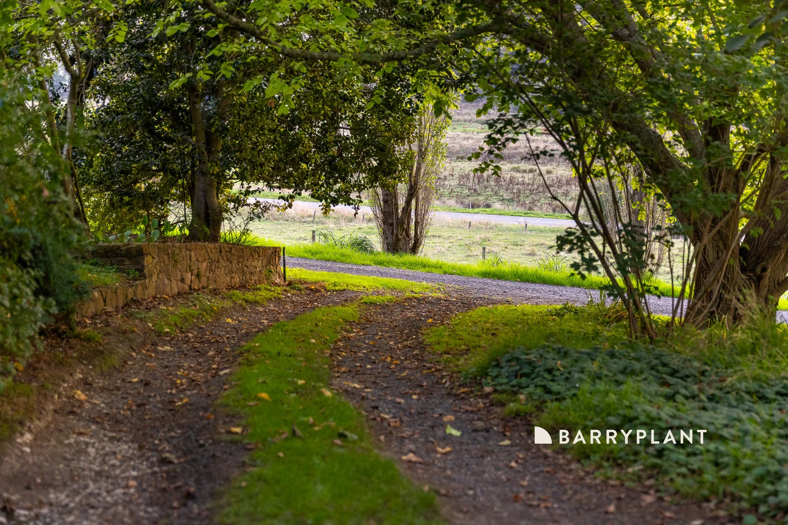 Image 34