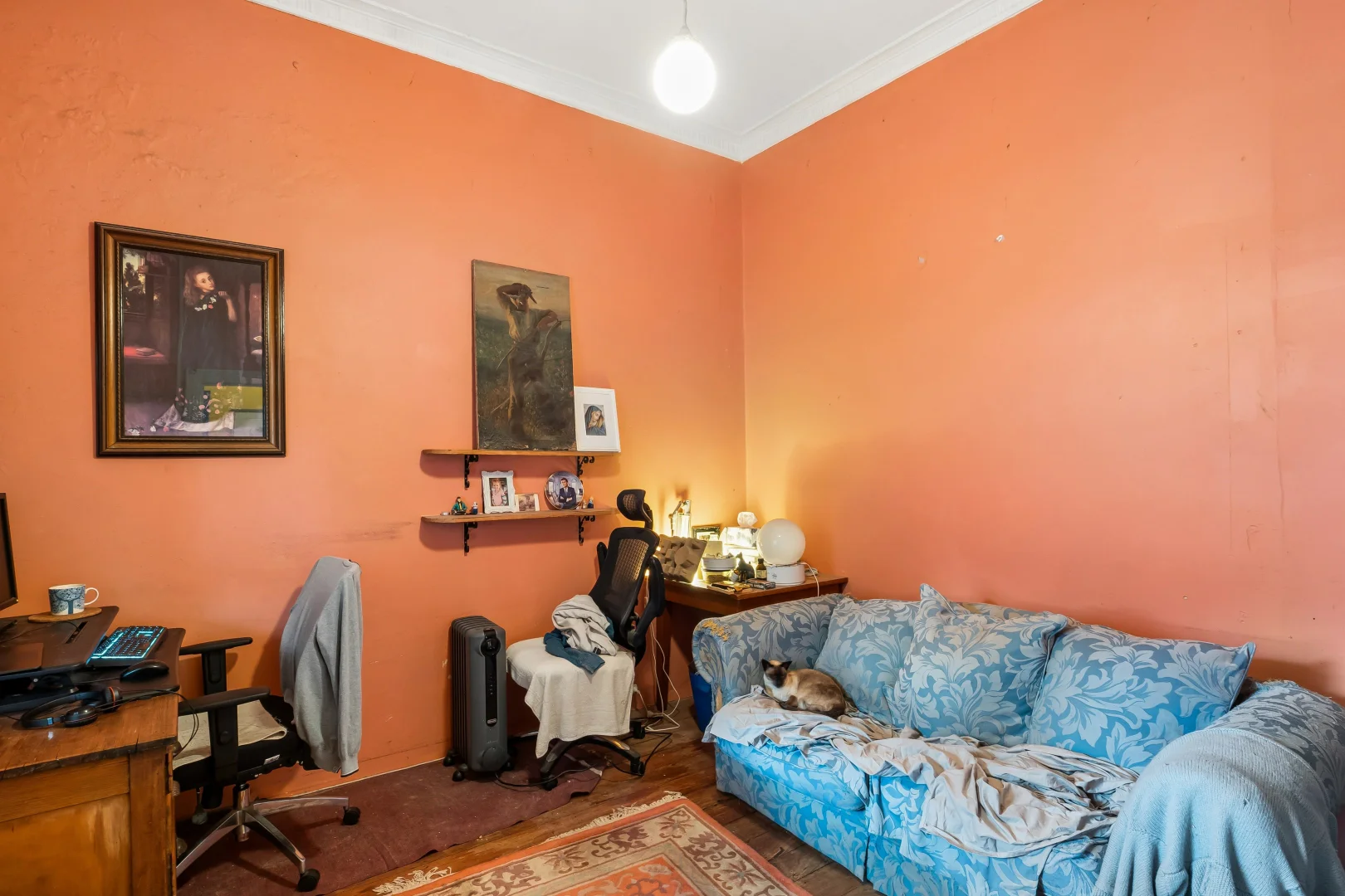 Image 7