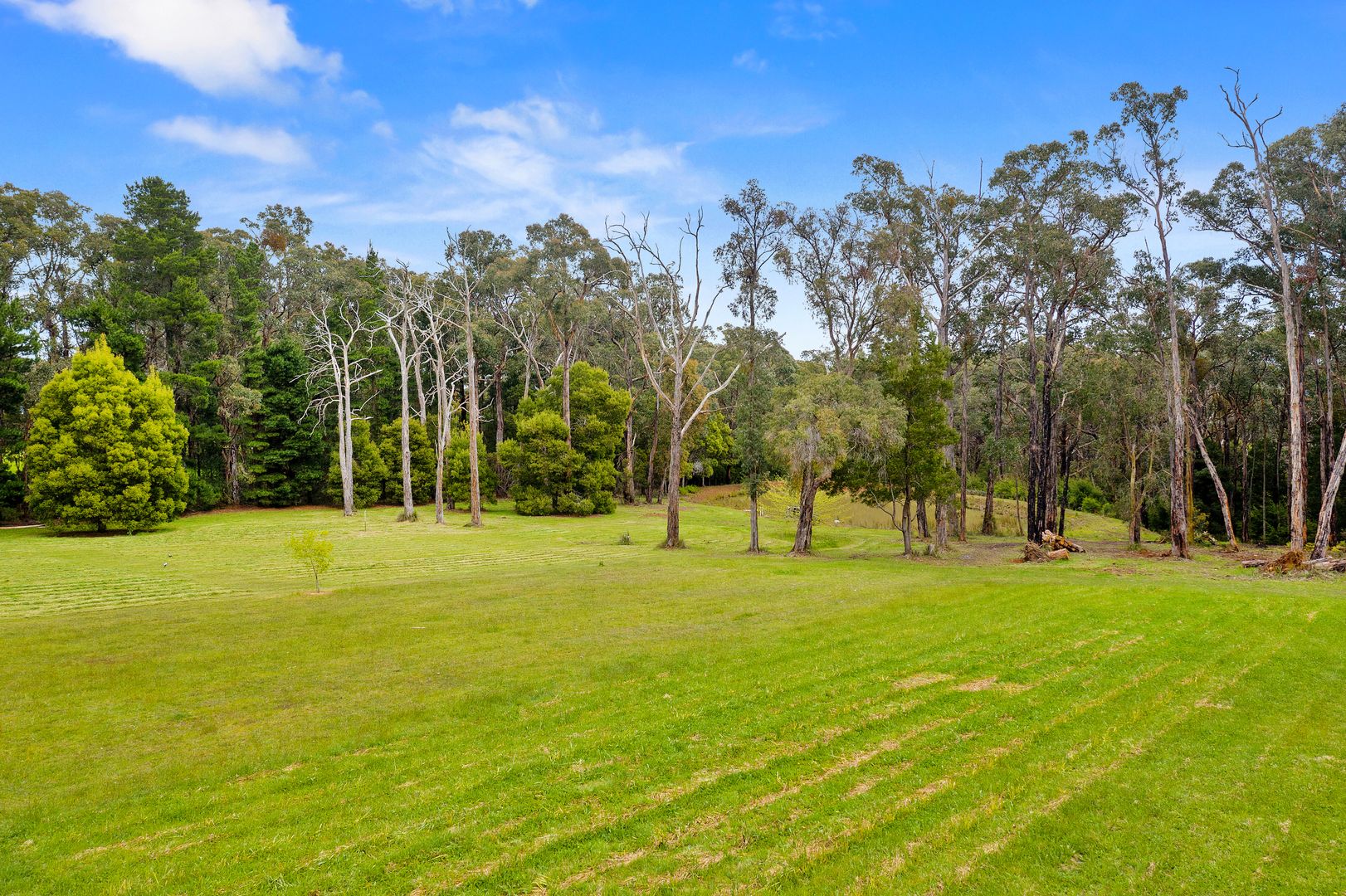 290 Eacotts Road, Hoddles Creek VIC 3139, Image 2