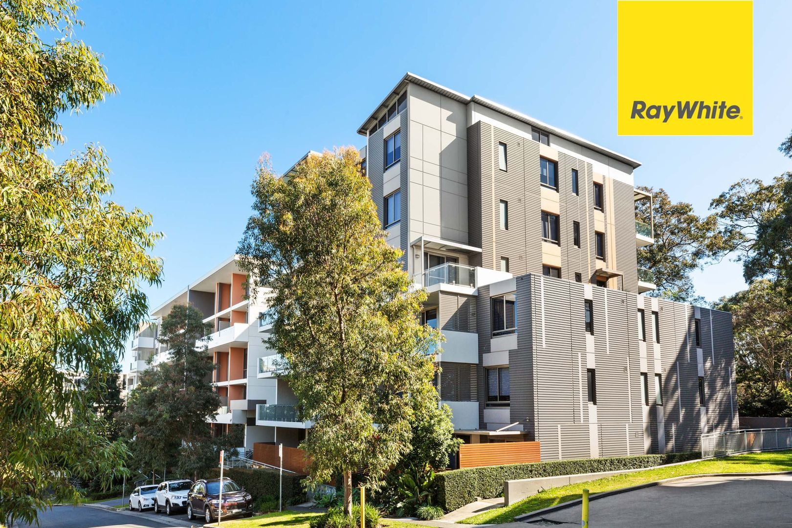 203/34 Ferntree Place, Epping NSW 2121, Image 0