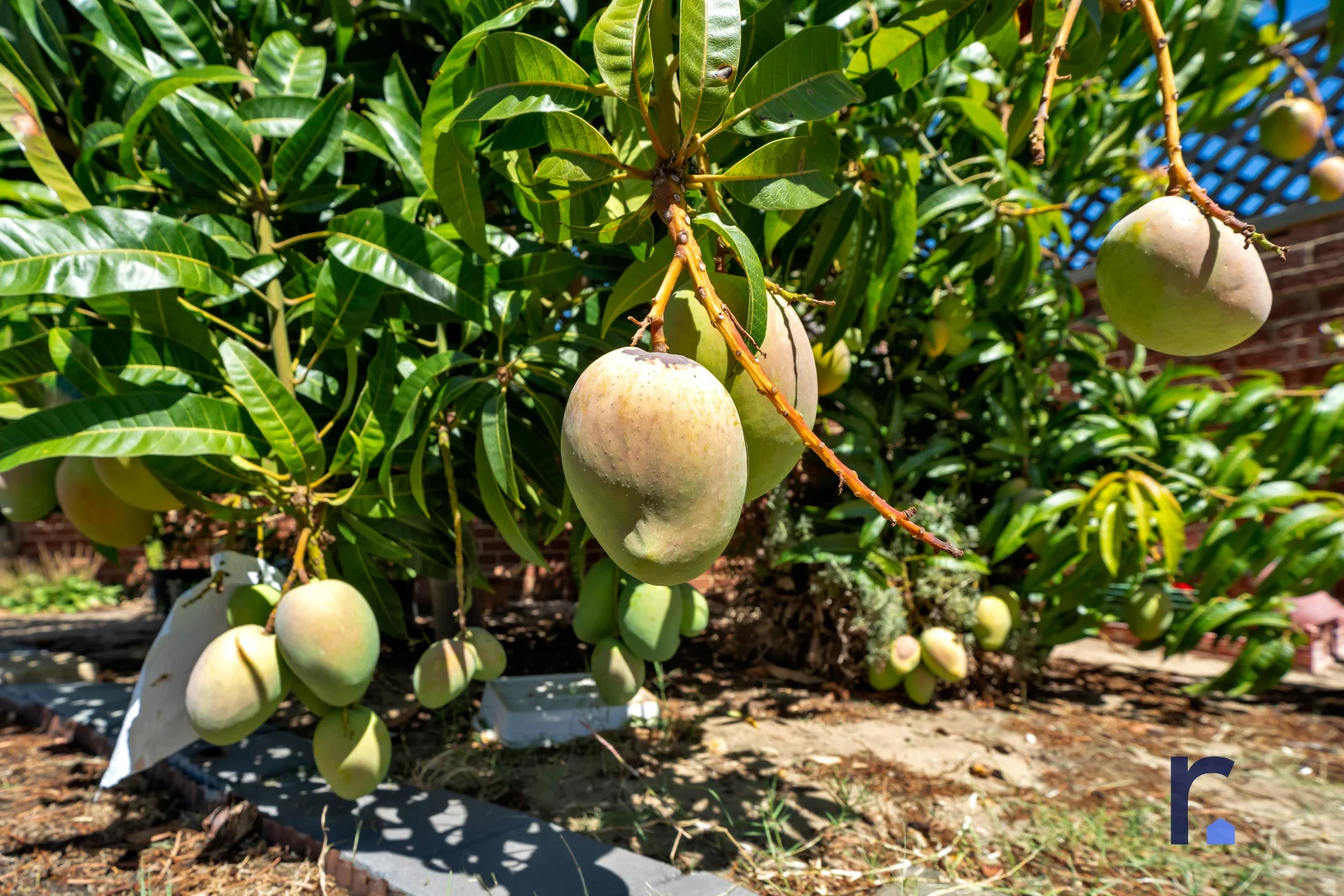 Additional image 25 of 14 Shadwell Court, Caversham WA 6055