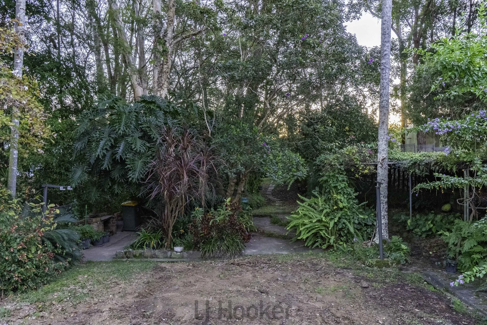 Image 8