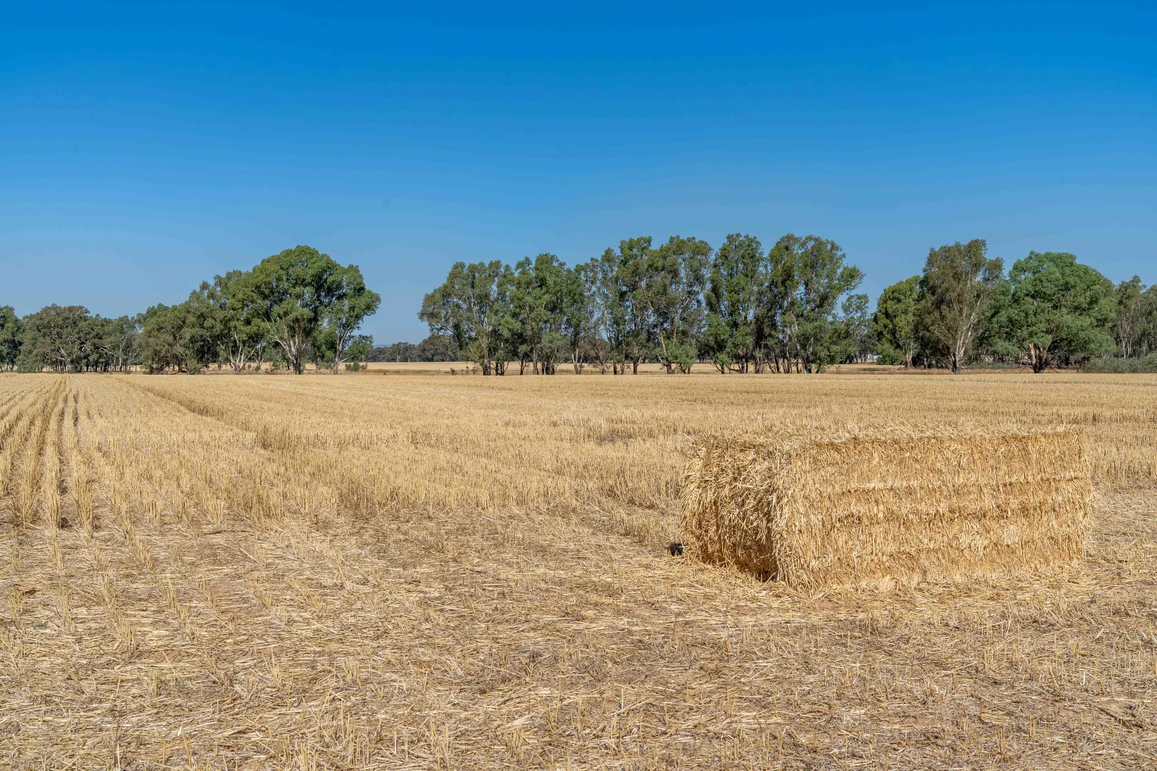 Additional image 8 of 96 Odwyer Road, Tabilk VIC 3607