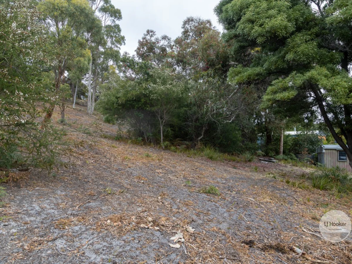 Image 19
