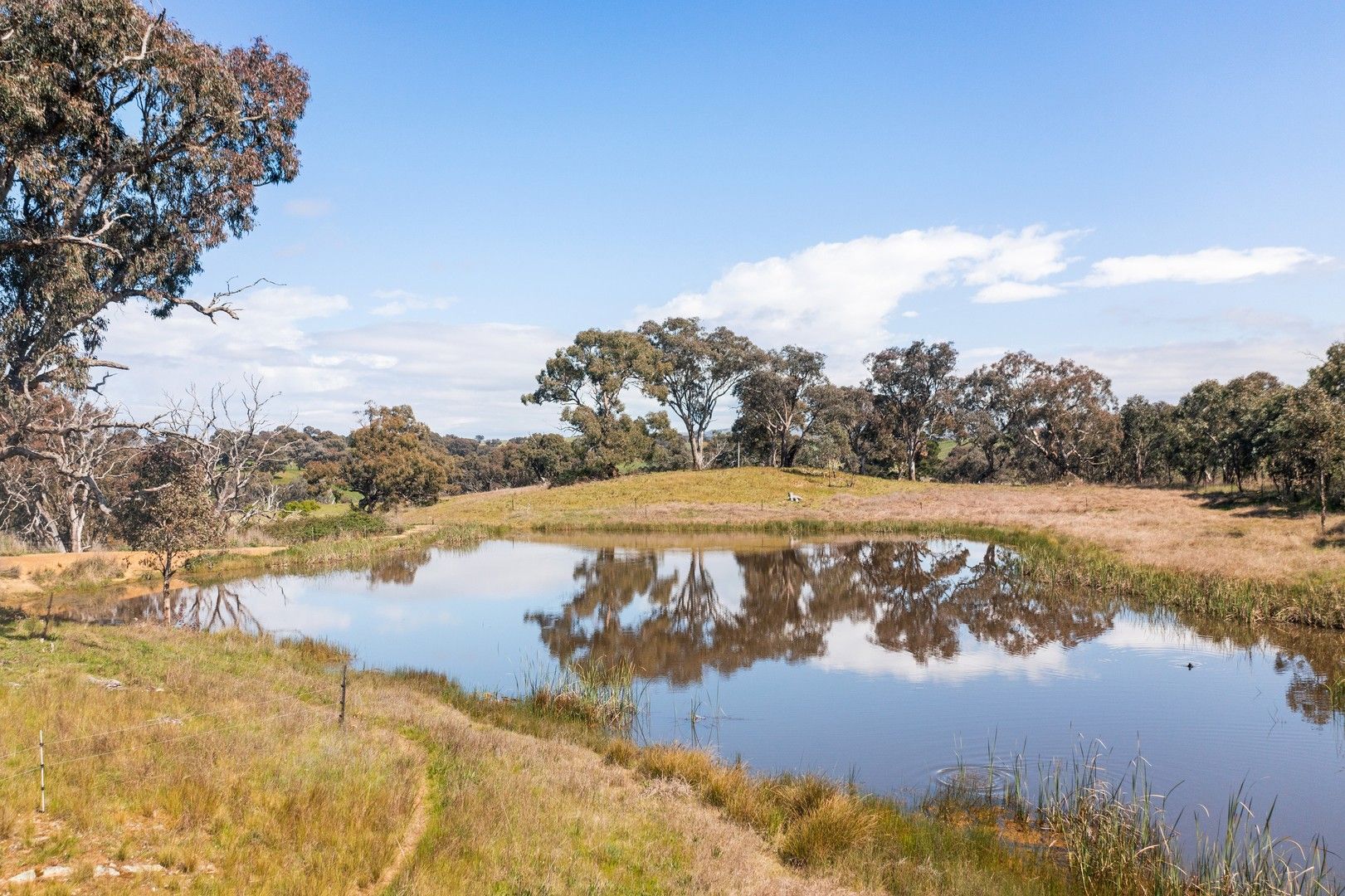 401 Black Range Road, Yass NSW 2582, Image 0