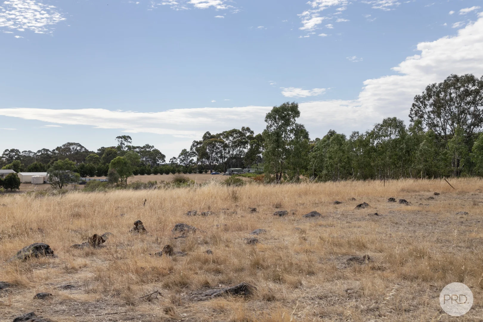 Image 14
