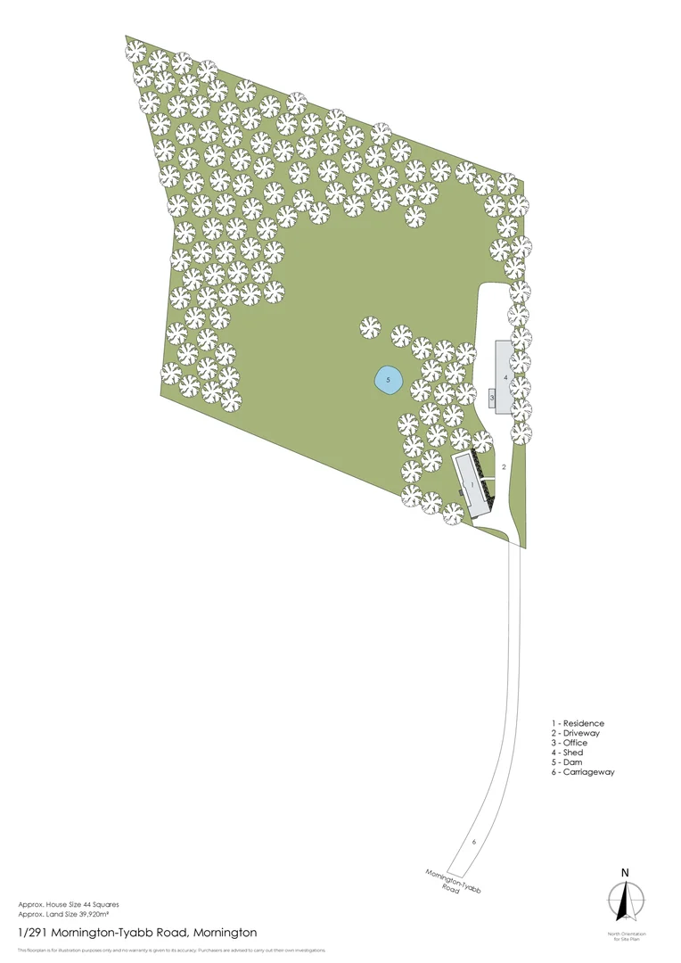 Image 21