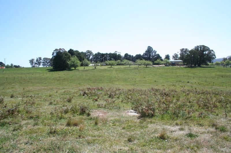 Lot45 King Street, Majors Creek NSW 2622, Image 2