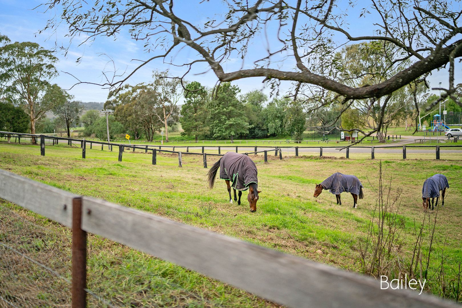 4 Wambo Street, Jerrys Plains NSW 2330, Image 1