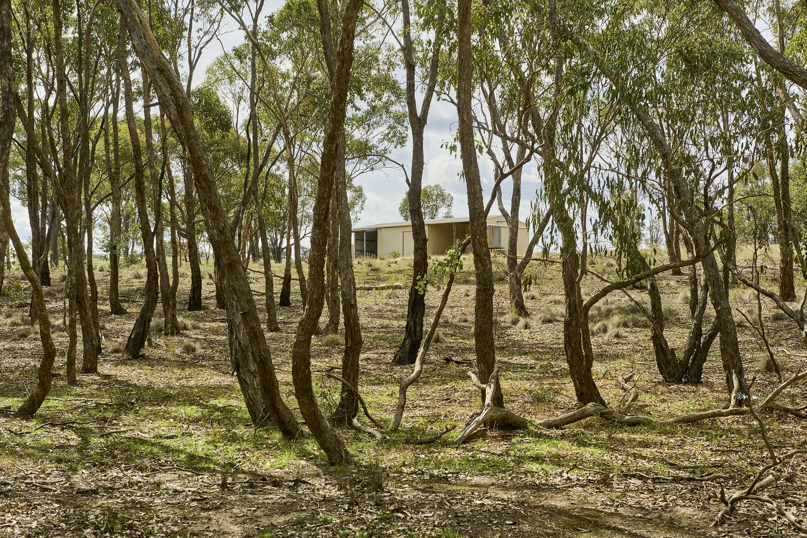 Additional image 5 of 555 Dairy Flat Road, Heathcote VIC 3523