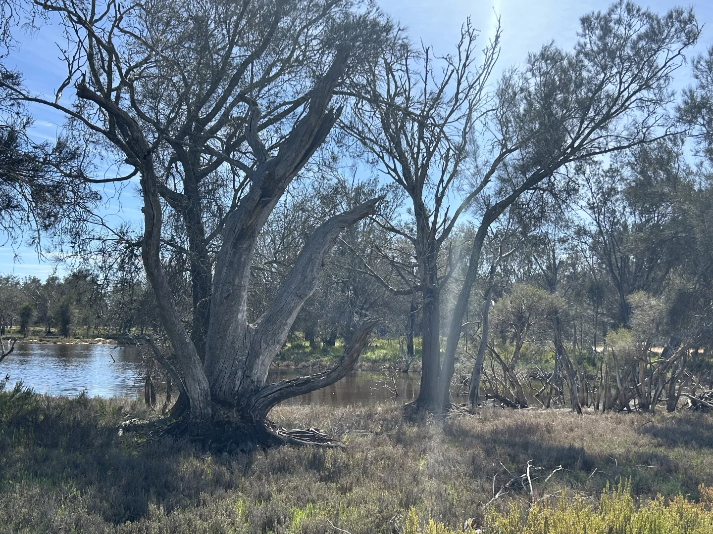 Image 8