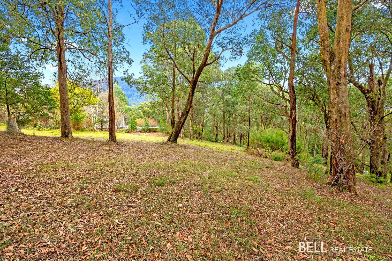 3 Summit Close, East Warburton VIC 3799, Image 0