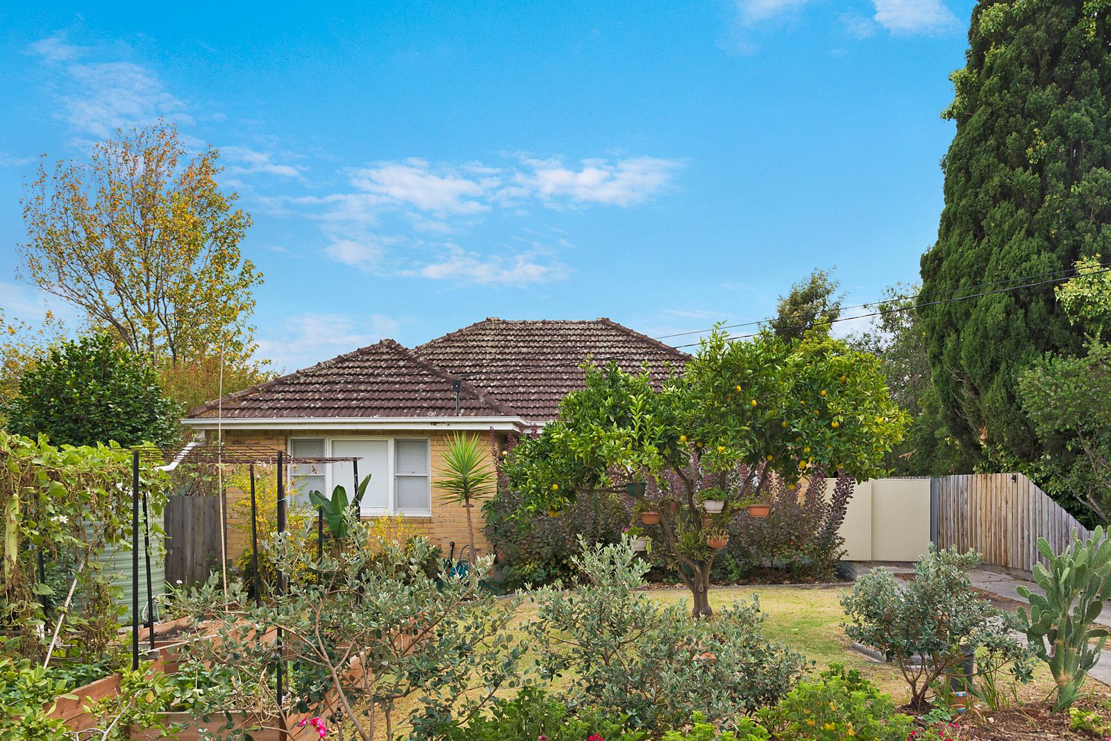 3 West Court, Glen Waverley VIC 3150, Image 1