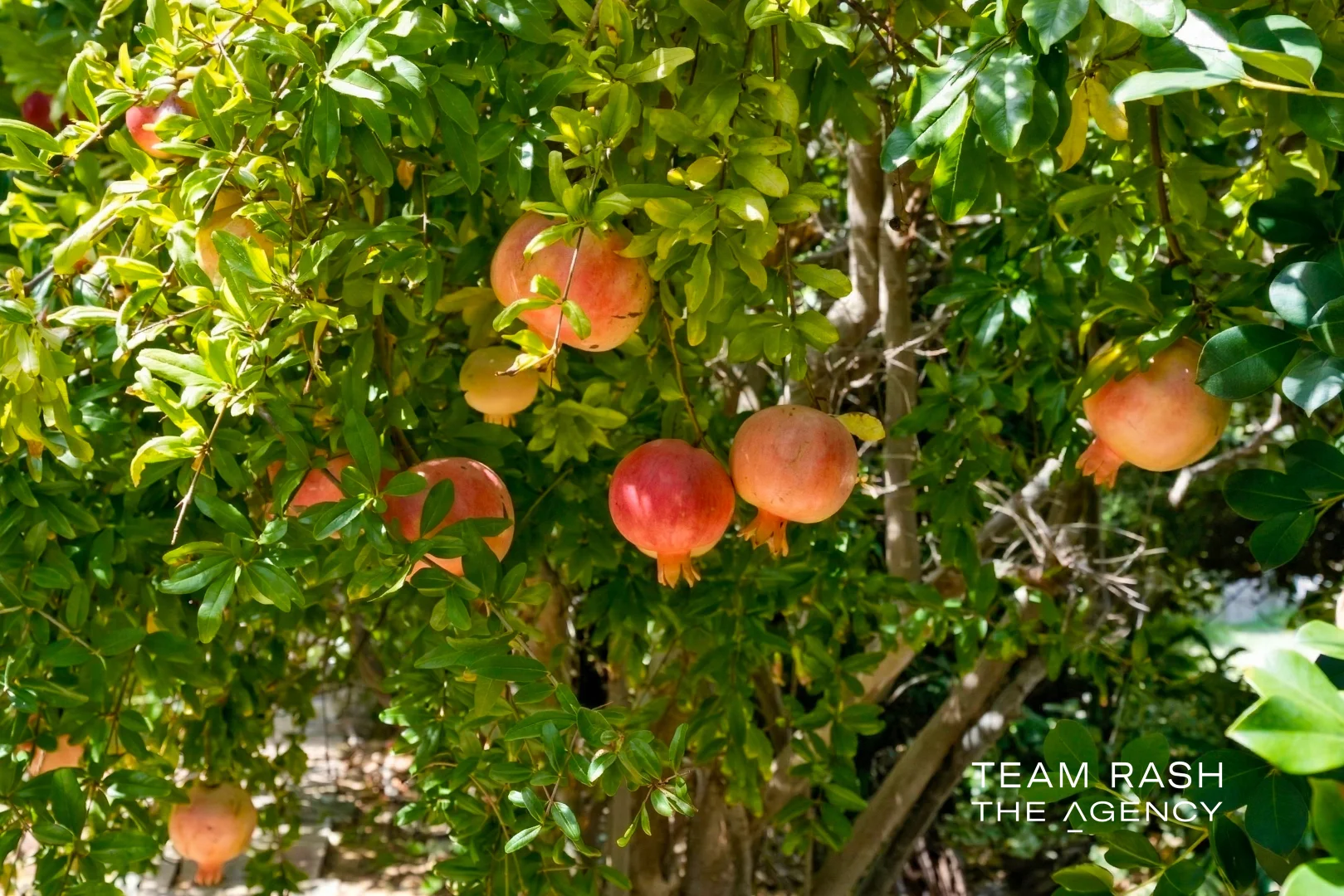 Additional image 29 of 8 Dotterel Way, Yangebup WA 6164