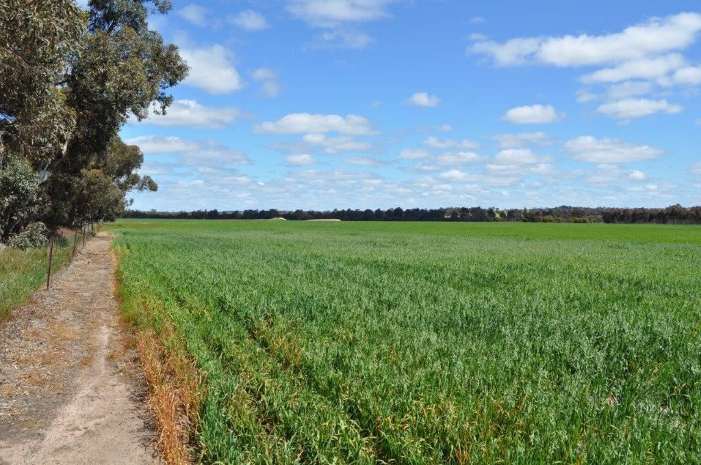 ' South Block', Kojonup WA 6395, Image 1