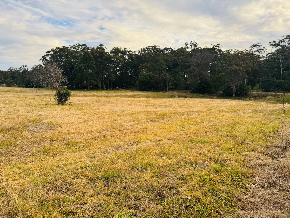 Image 12