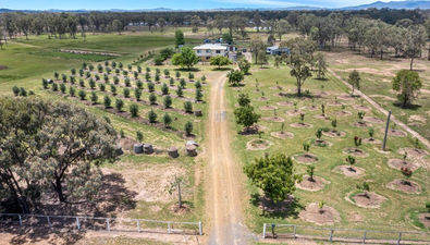 Picture of Alton Downs - Nine Mile Rd, ALTON DOWNS QLD 4702