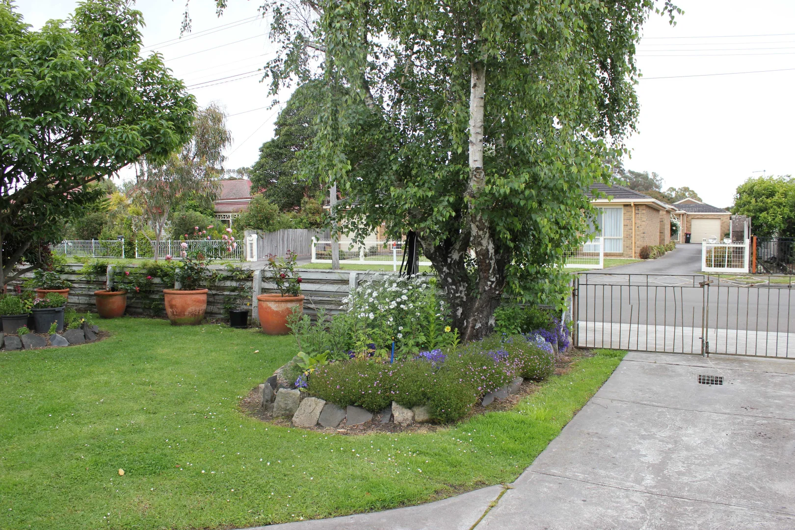 Image 10