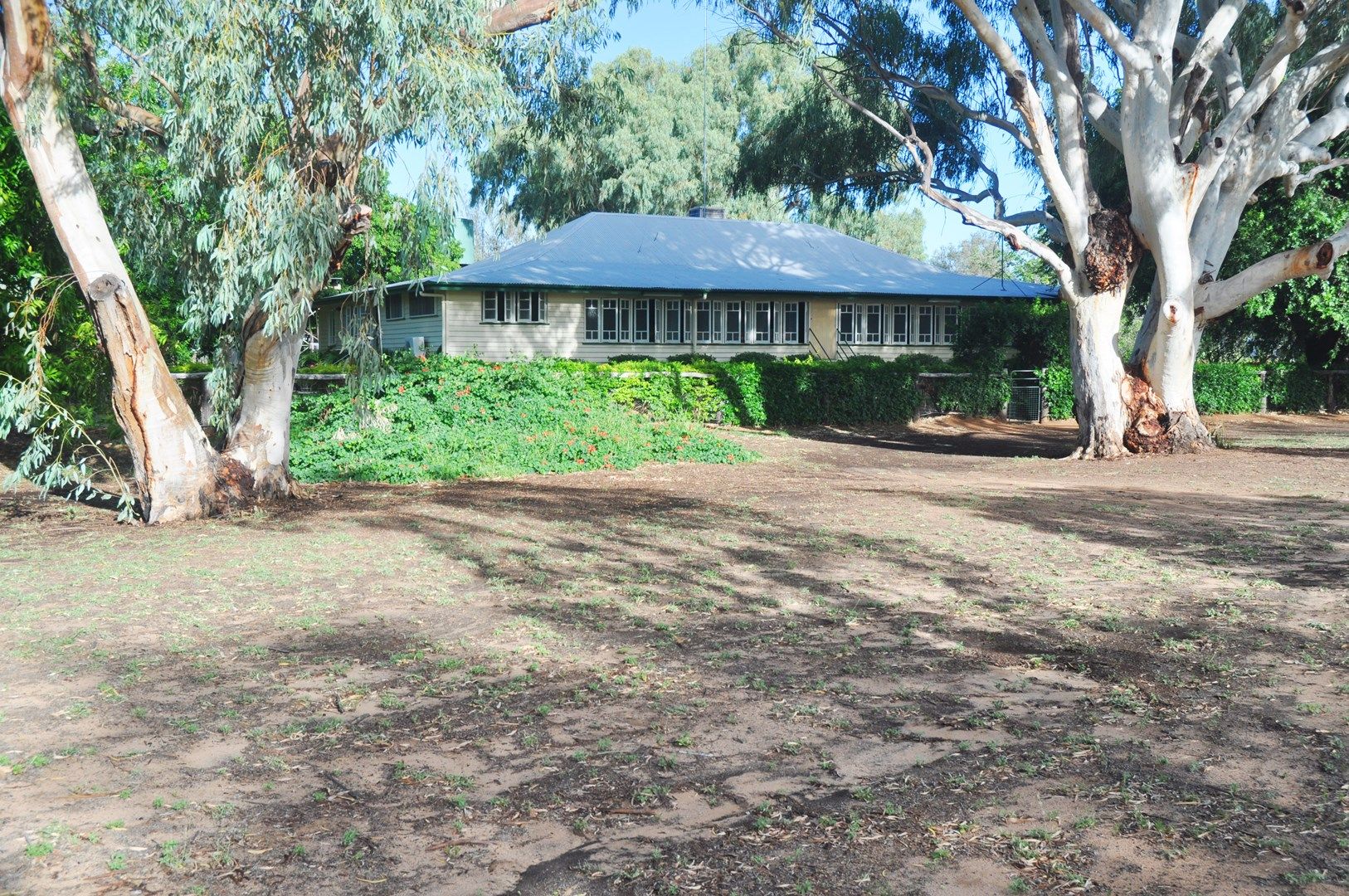 'THE PATRICK', Barcaldine QLD 4725, Image 0