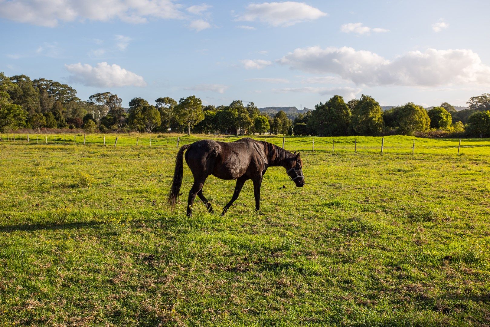 35 Mardi Road, Mardi NSW 2259, Image 2