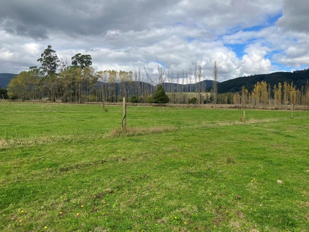 36143 Tasman Highway, Springfield TAS 7260, Image 0