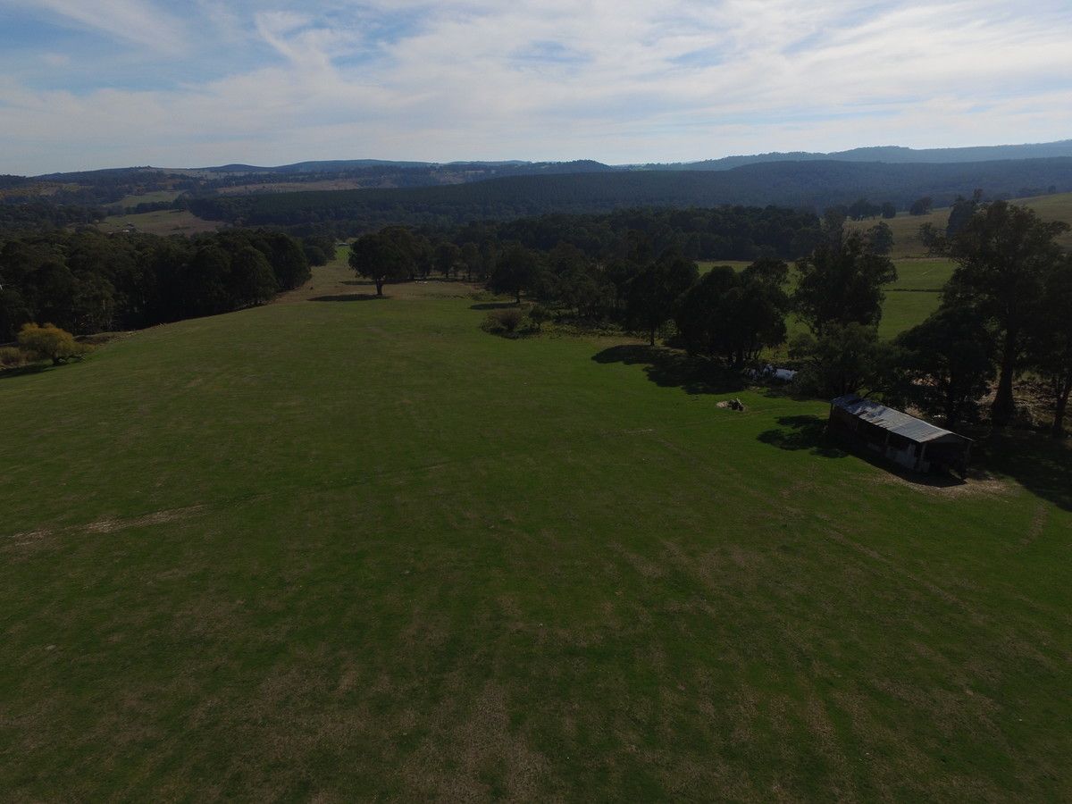 Christmas Hill - 120 Bago Forest Road, Tumbarumba NSW 2653, Image 2