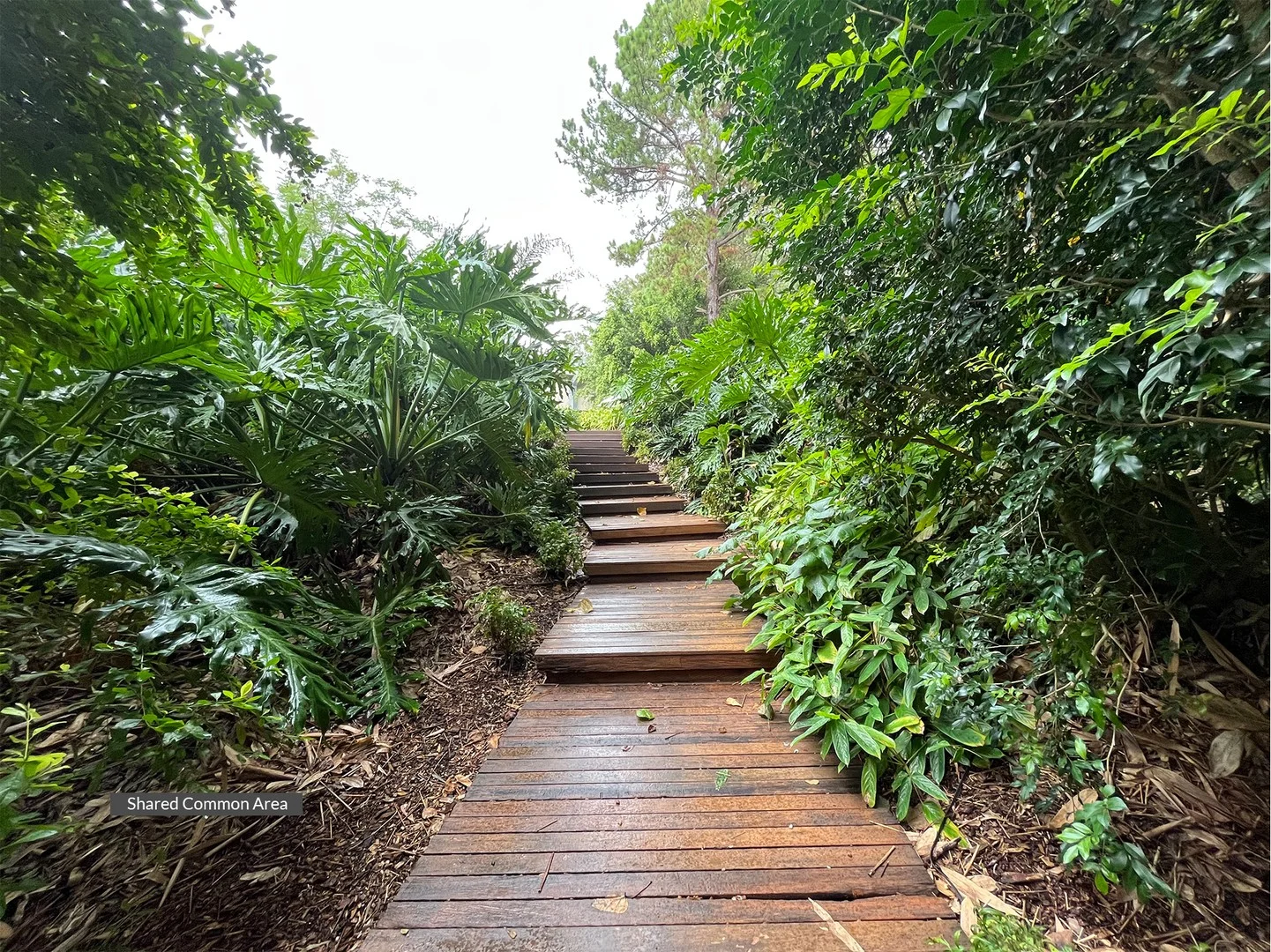 Greygums 14/79 Kings Road, Cooranbong NSW 2265