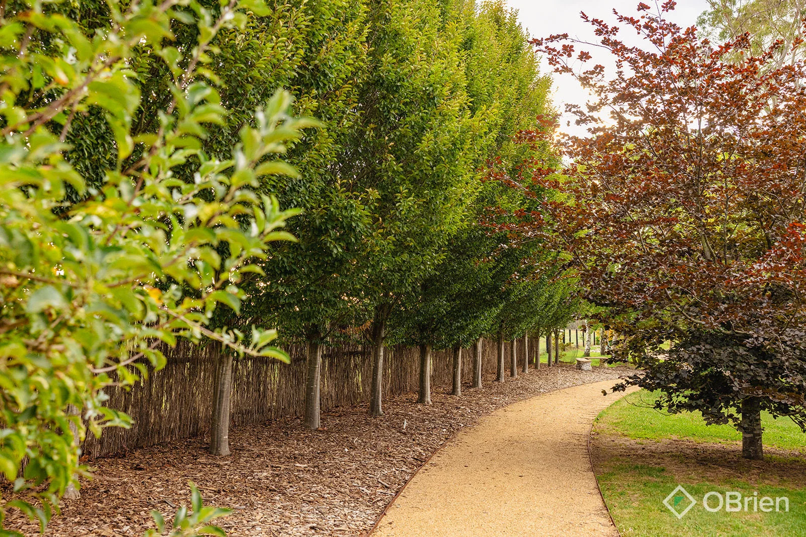 Additional image 13 of 500 Copelands Road, Lillico VIC 3820