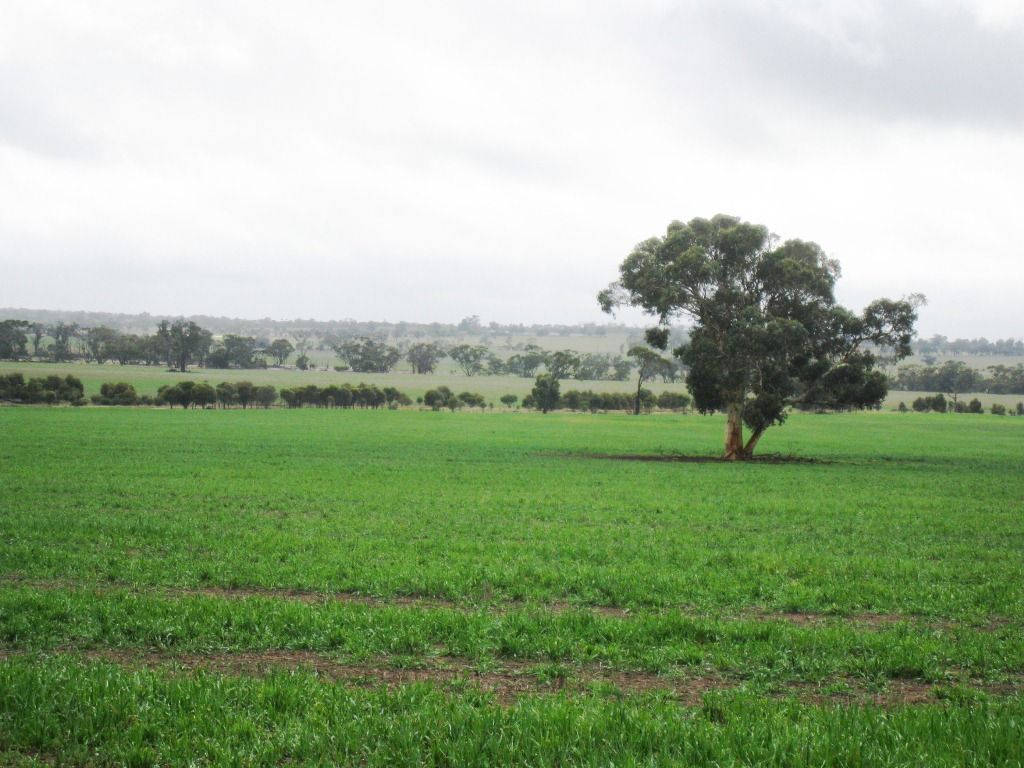 Broomehill WA 6318, Image 1