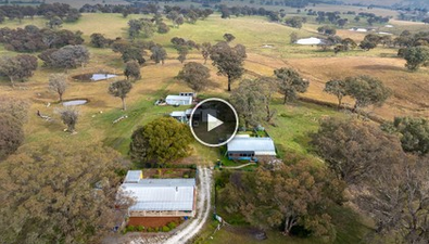 Picture of 695 Caloola Road, NEWBRIDGE NSW 2795