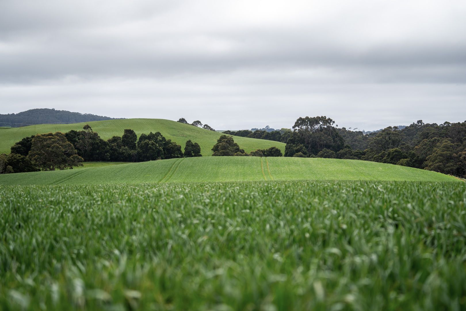 86 Rothwells Road, Sisters Creek Property History & Address Research Domain