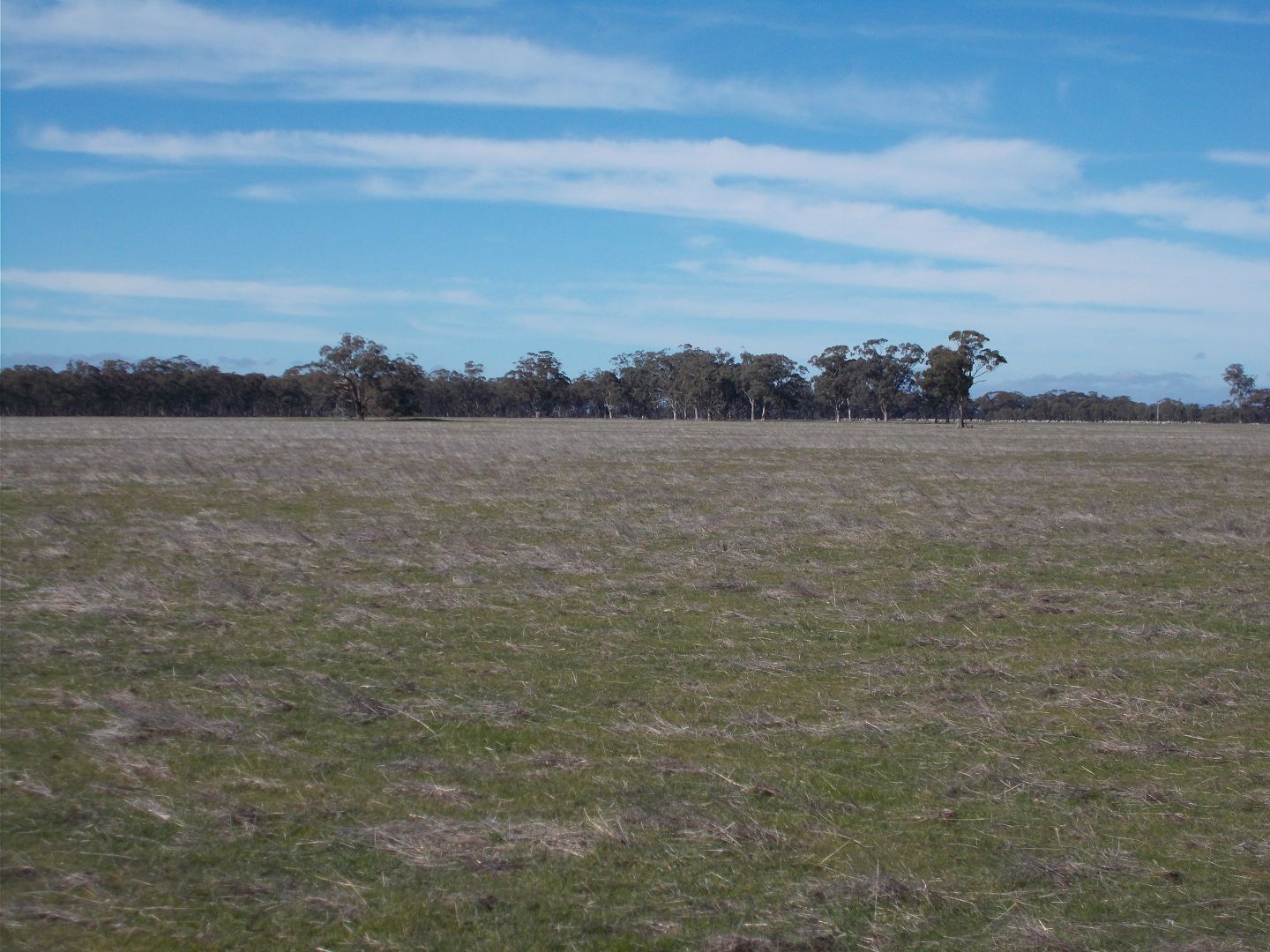 . Phillips Road, Glenorchy VIC 3385, Image 2