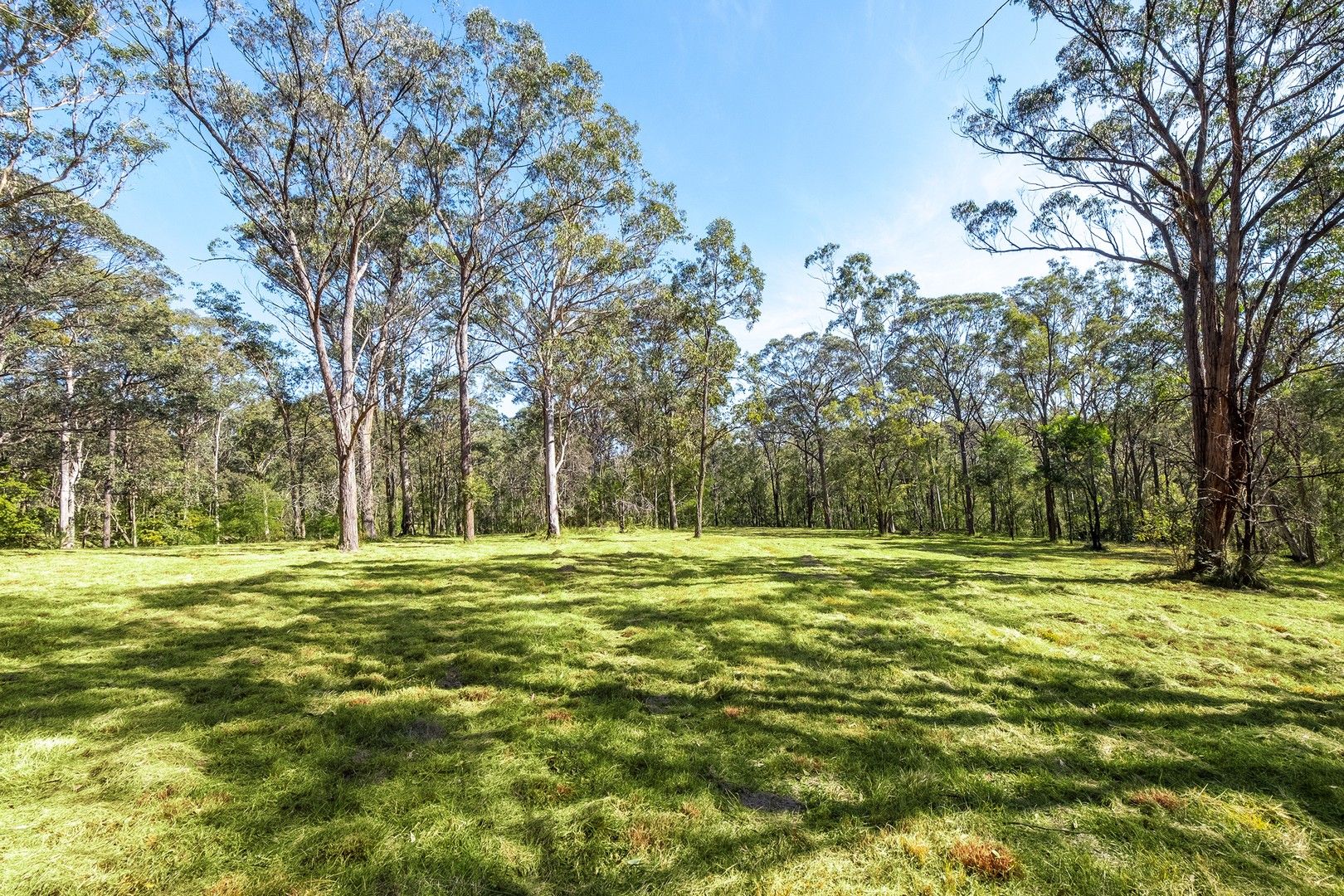 Proposed Lot 13 of 321A East Kurrajong Road, East Kurrajong NSW 2758, Image 1