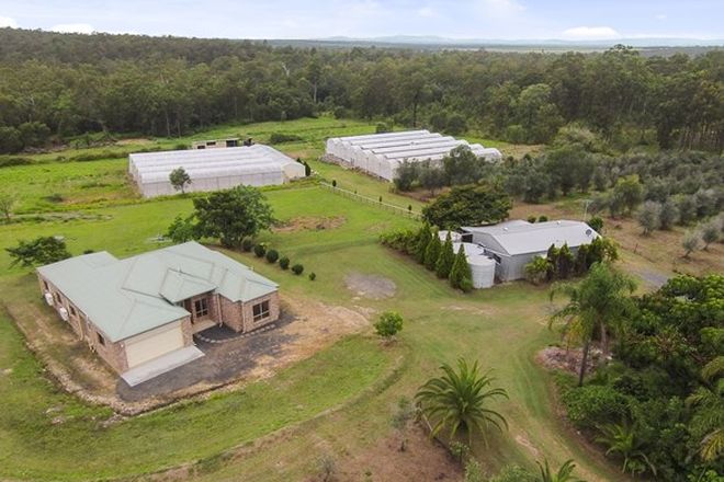 Picture of 2684 Gatton Esk Road, MOUNT HALLEN QLD 4312