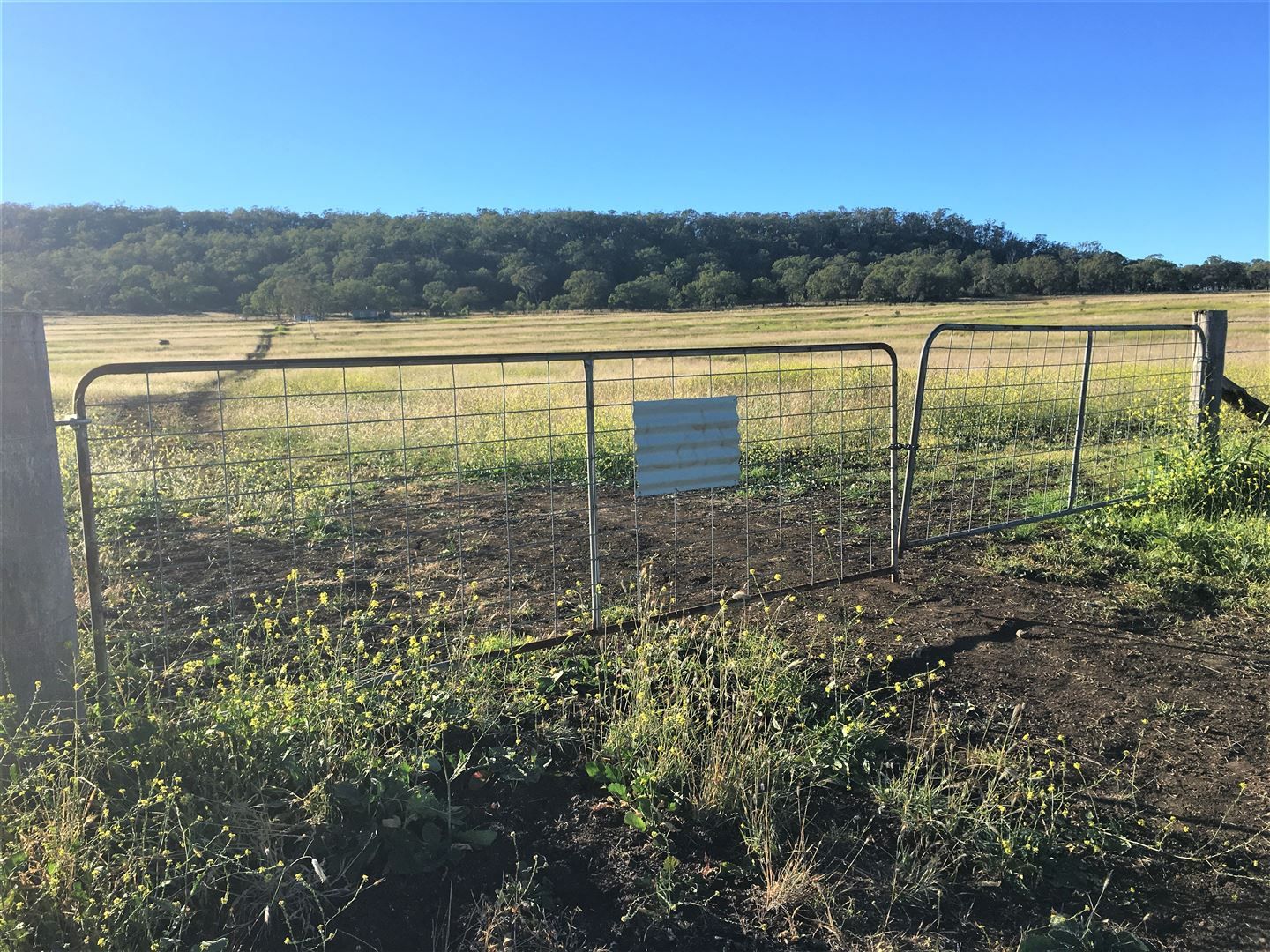 Lot 5 Moar Road, Pilton QLD 4361