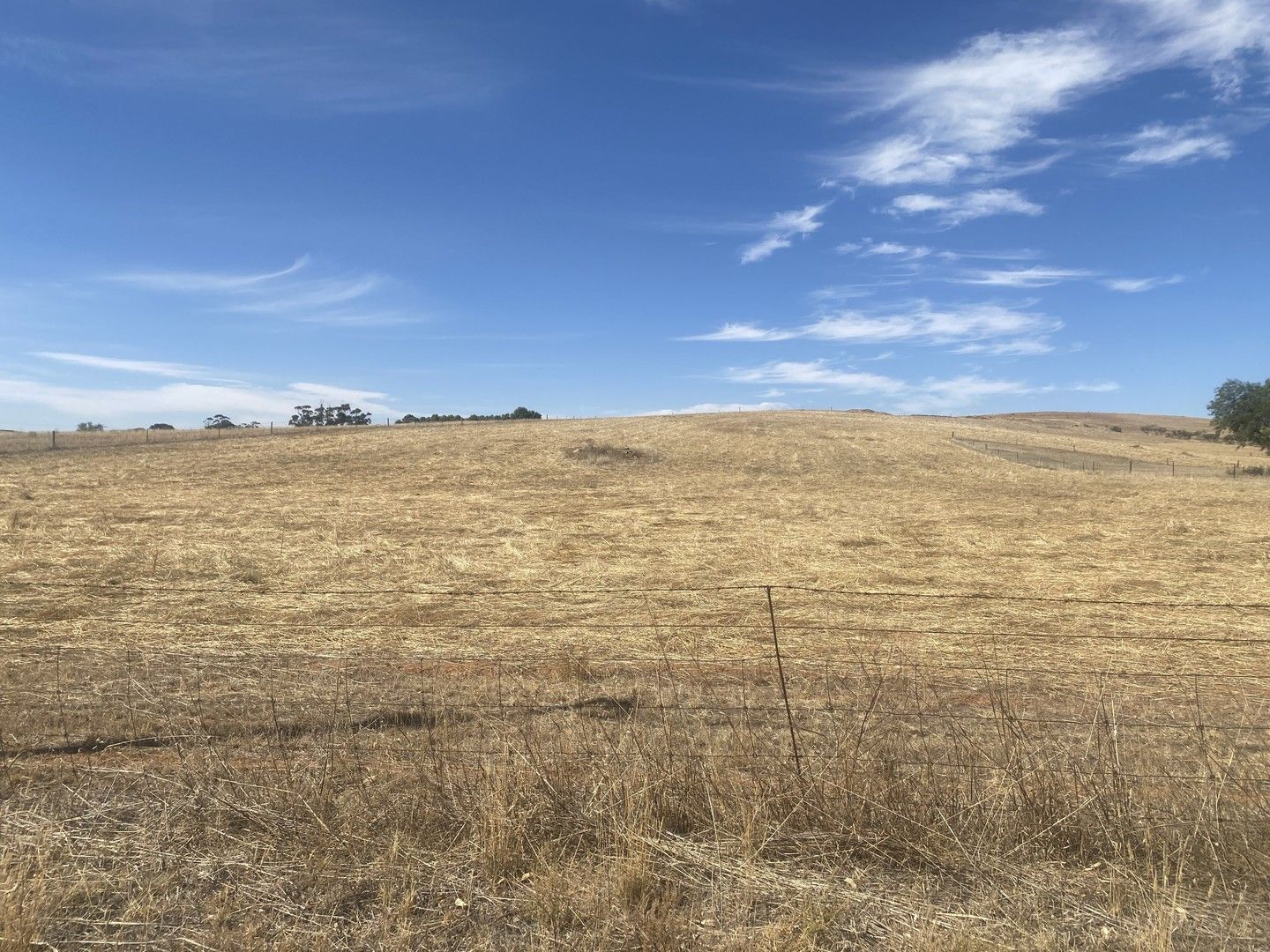 Lot/12 Depot Hill Road, Jamestown SA 5491, Image 0