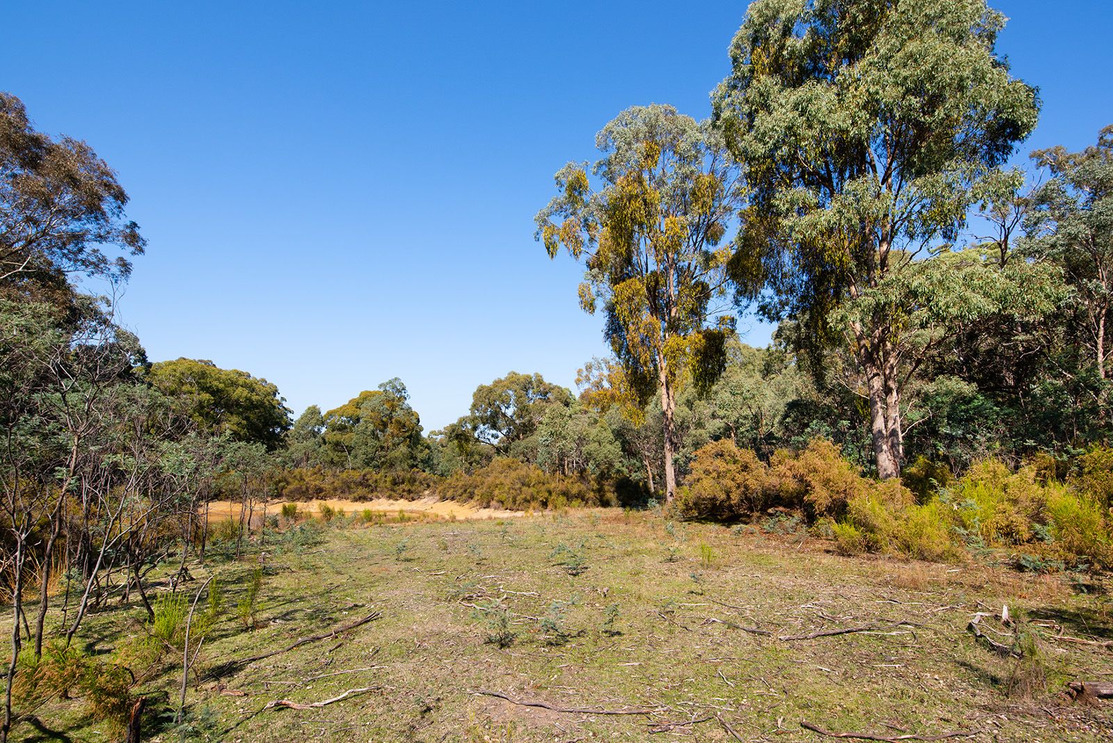 423 White Gum Track, Fryerstown VIC 3451, Image 0