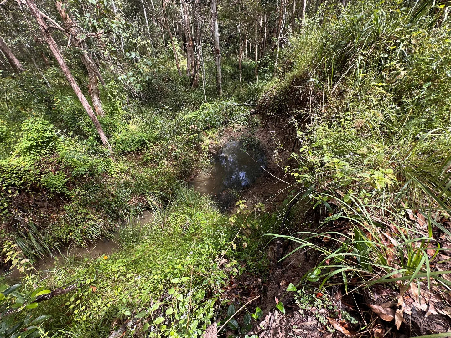 Image 10