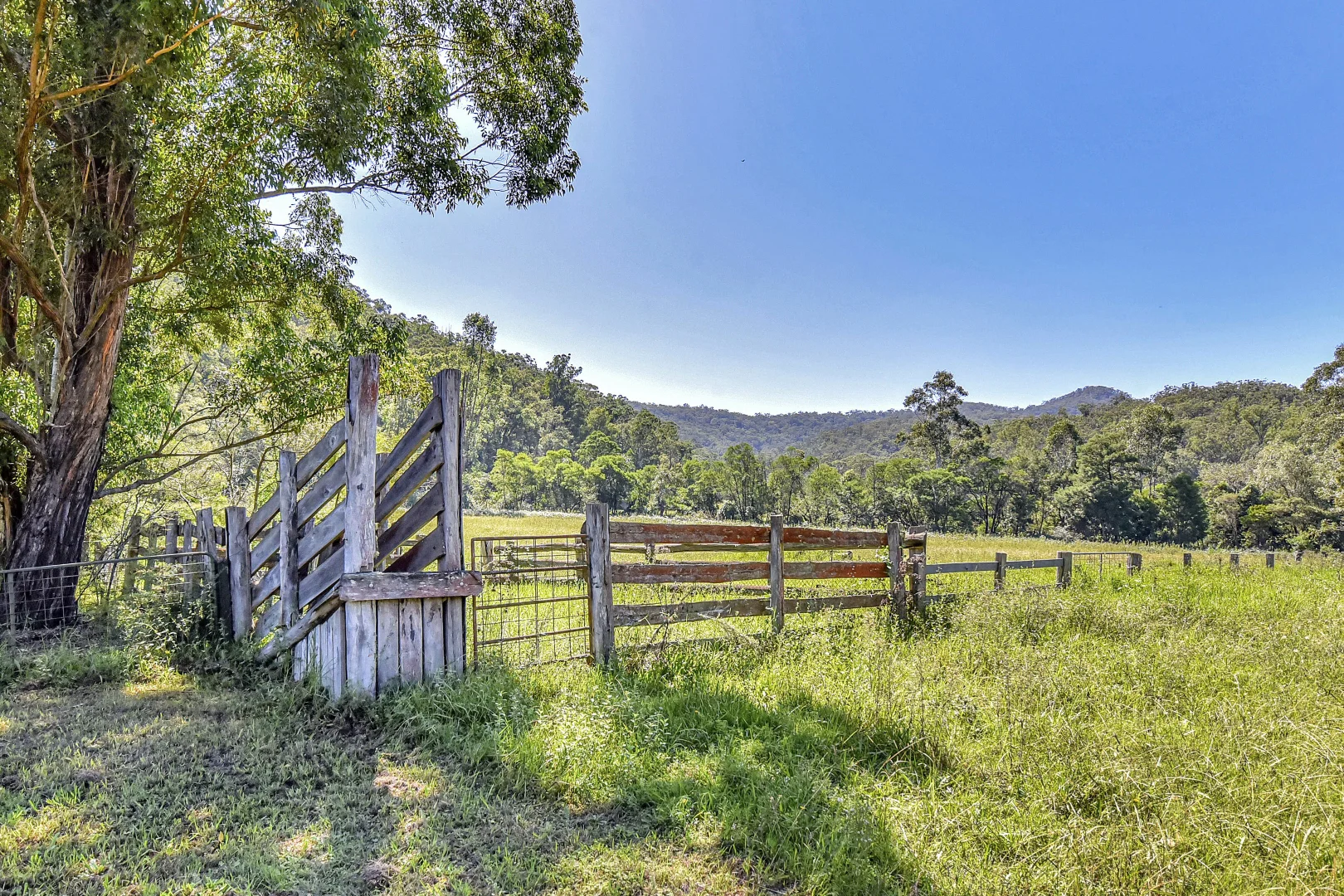 Additional image 7 of Lot 12 & 13 Narone Creek Road, Wollombi NSW 2325