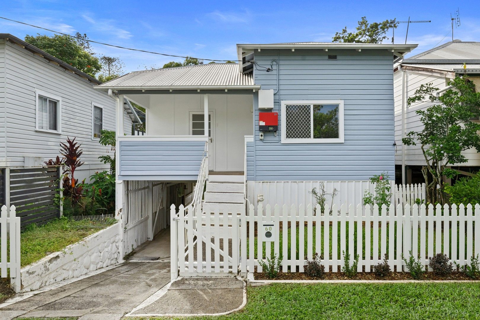 60 Wardrop Street, South Murwillumbah NSW 2484 House For Rent Domain