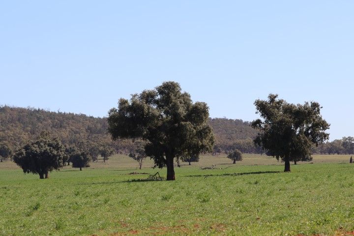 3956 The Springs Road, Monia Gap NSW 2675, Image 1