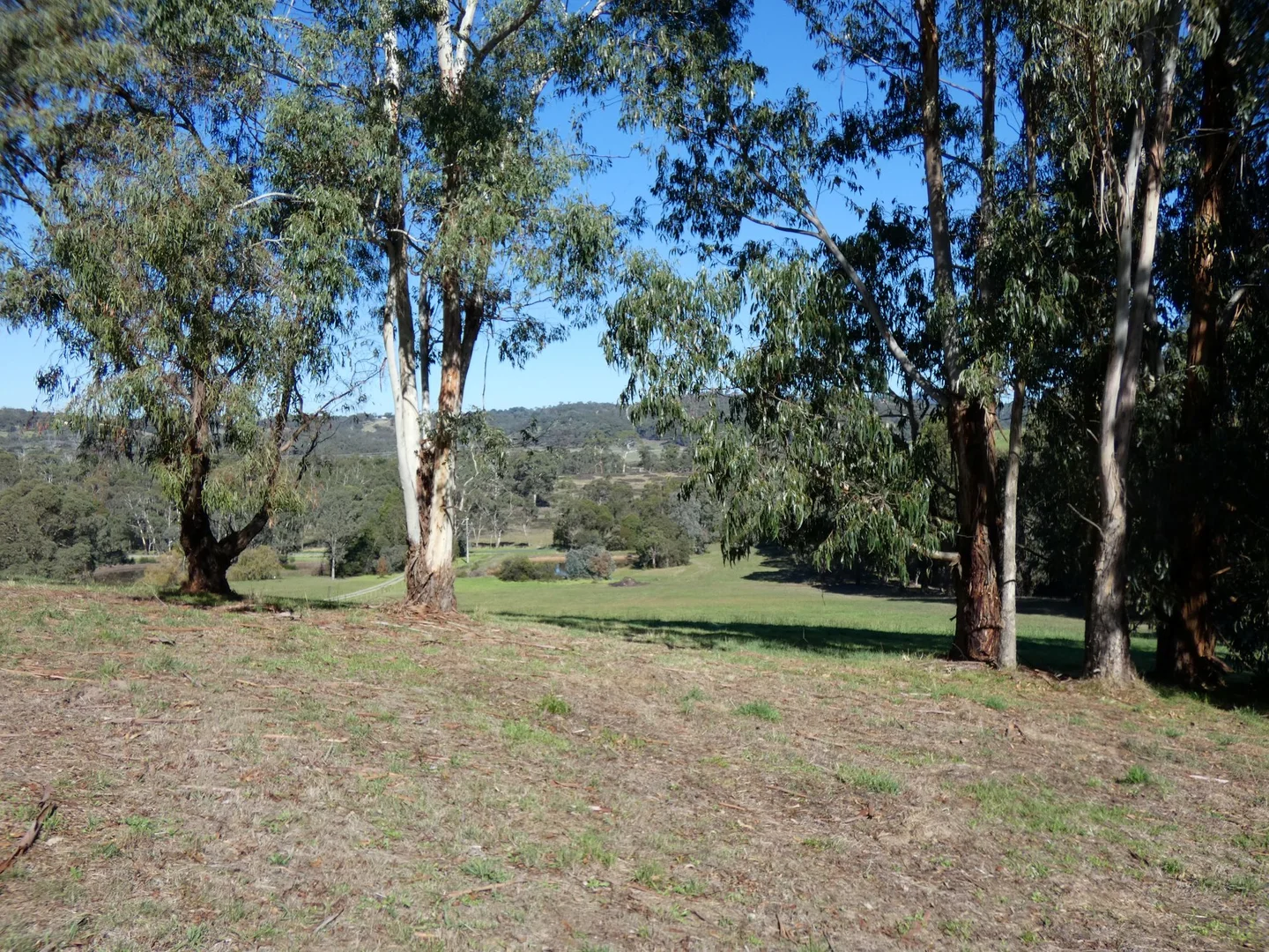 Image 21