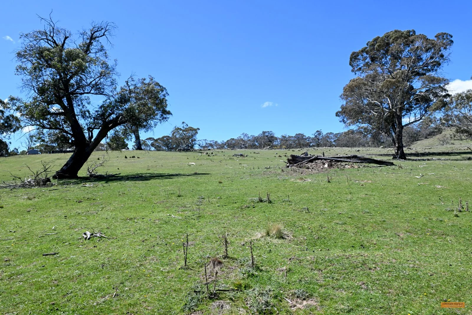 Image 18