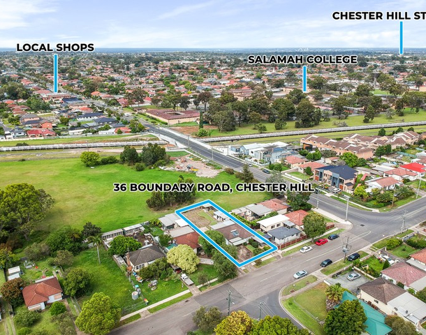 36 Boundary Road, Chester Hill NSW 2162