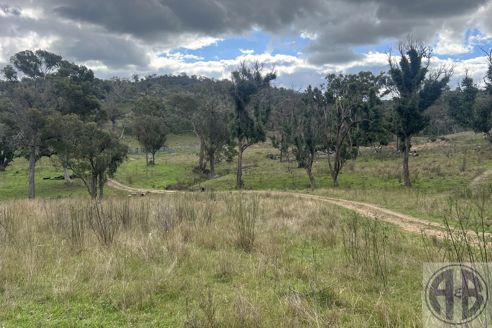 Image 21