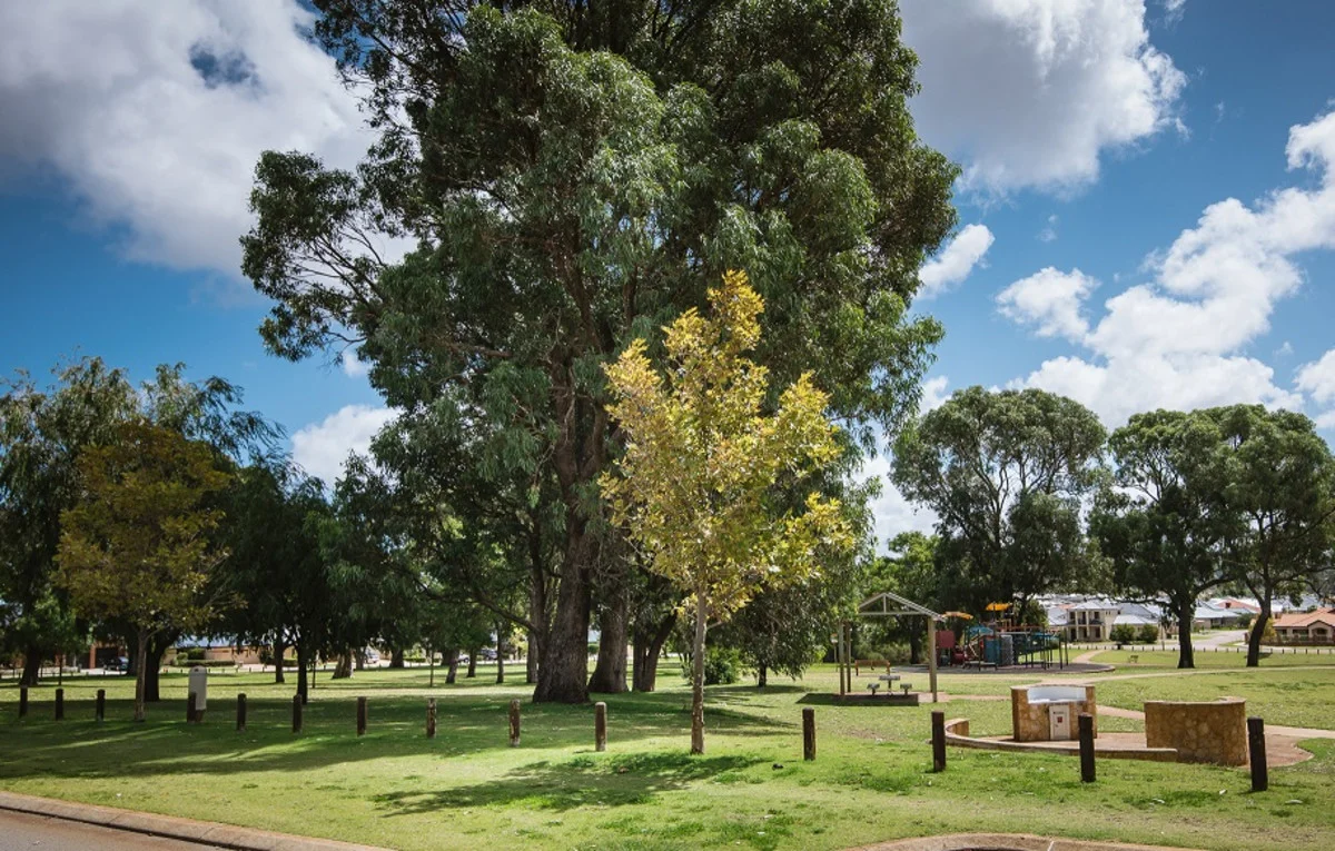 Image 30