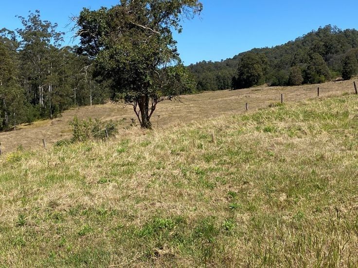 Lot 1 Afterlee Road - Afterlee, Kyogle NSW 2474, Image 1